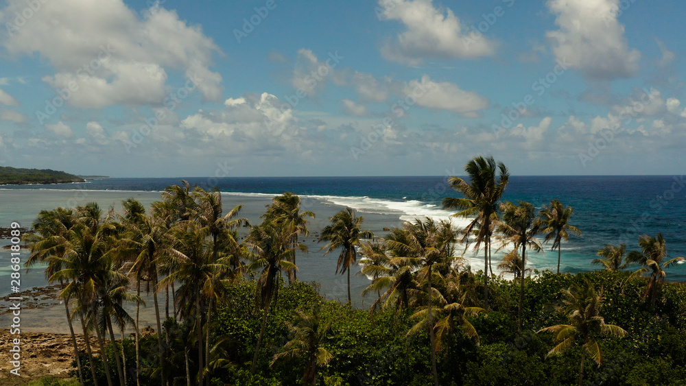 Coastline island with palm trees and the beach at low tide. Blue ocean and waves. Siargao, Philippines.