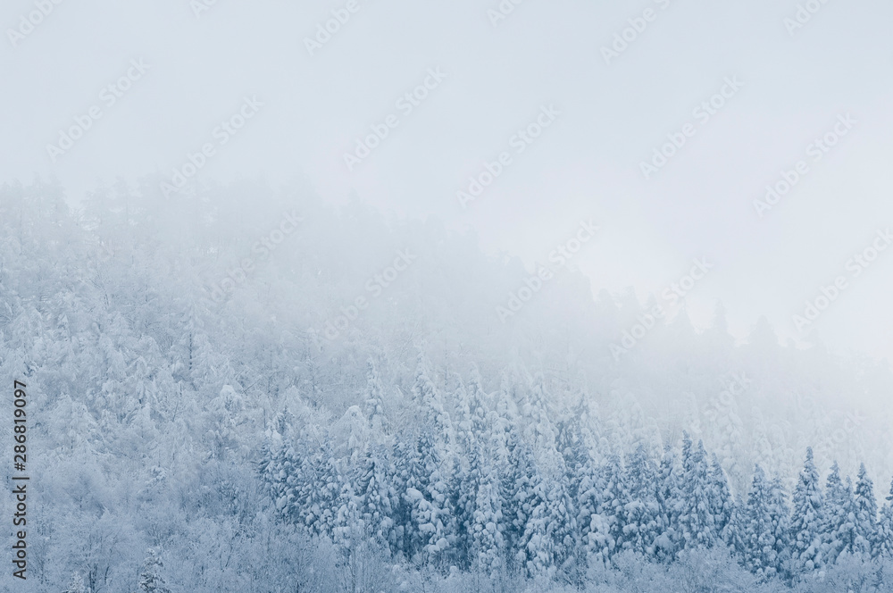 雪景色 雪景色