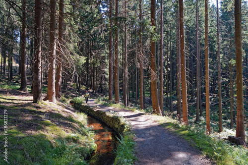 Oberharzer Wasserregal photo