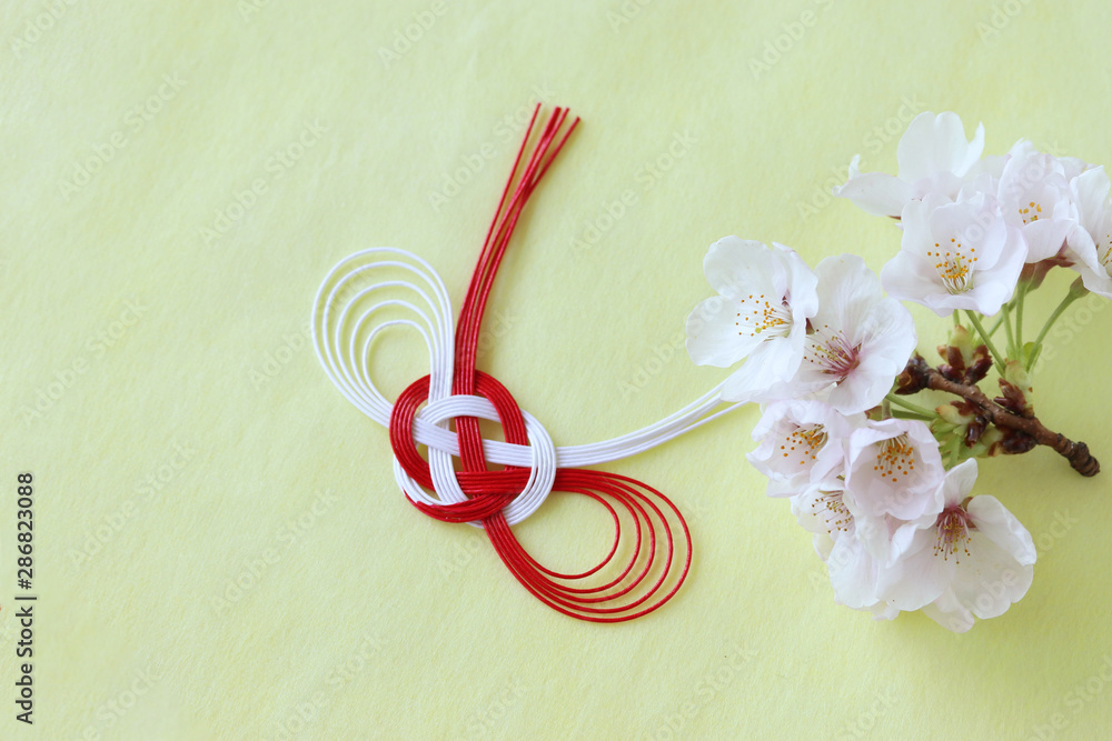 桜の花と水引結び Stock Photo Adobe Stock