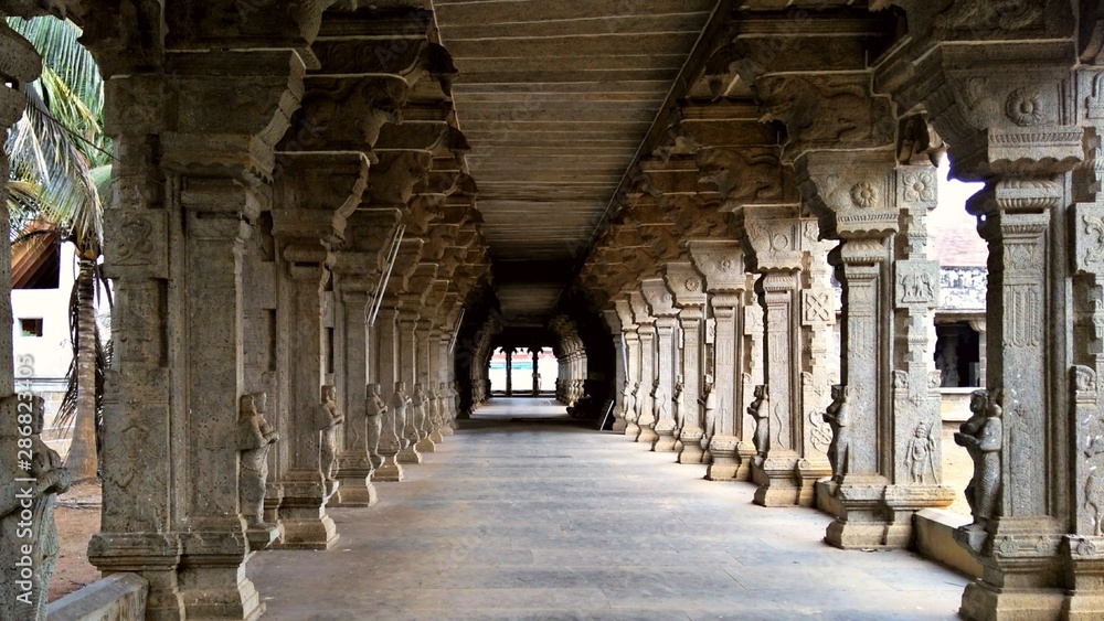 Obraz premium Indian Temple Corridor with countless Pillars
