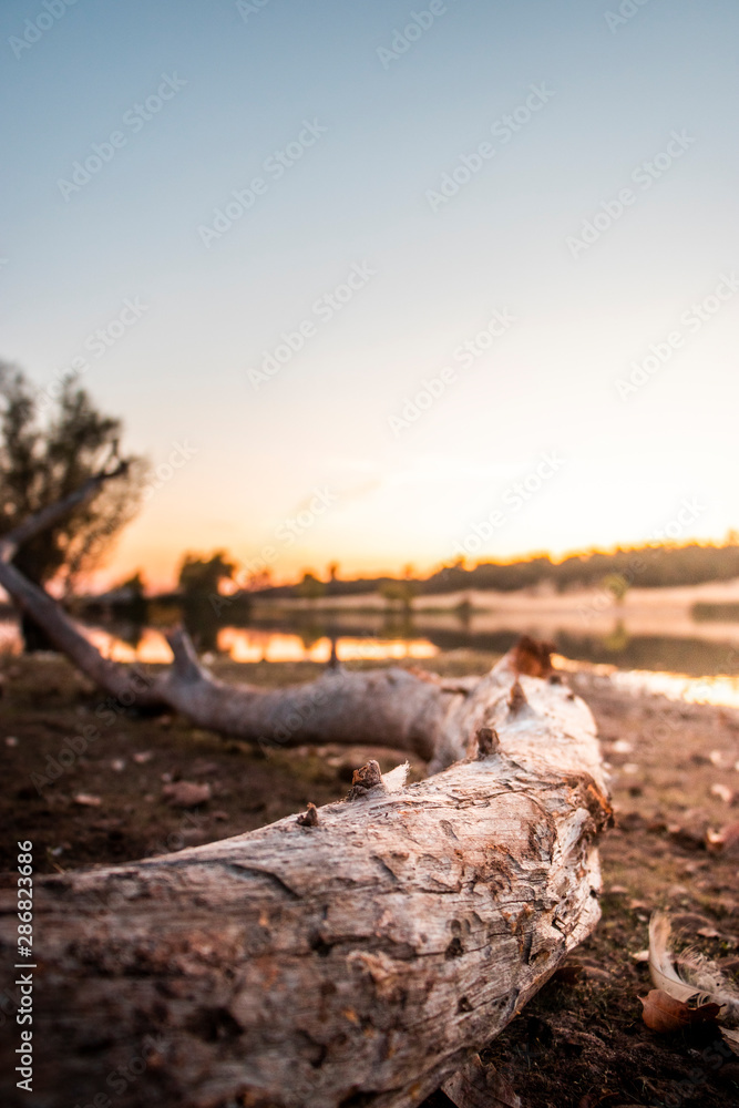 Photo Photo