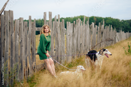 beautiful girl in a dress on nature with Russian greyhound dogs photo