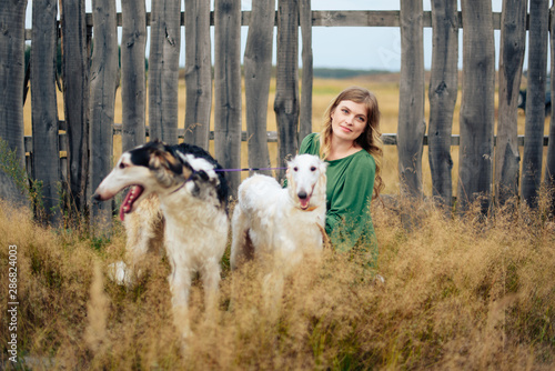 beautiful girl in a dress on nature with Russian greyhound dogs photo