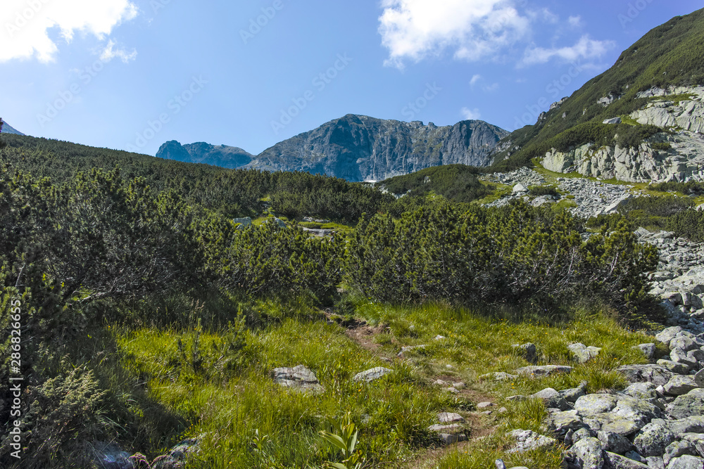 Fototapeta premium Malyoviska river Valley, Rila Mountain, Bulgaria