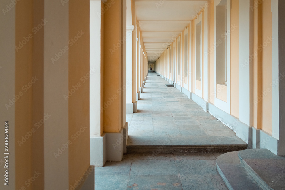 Colonnade in Pavlovsky park, St. Petersburg, Russia Colonnade in Pavlovsky park, St. Petersburg, Russia