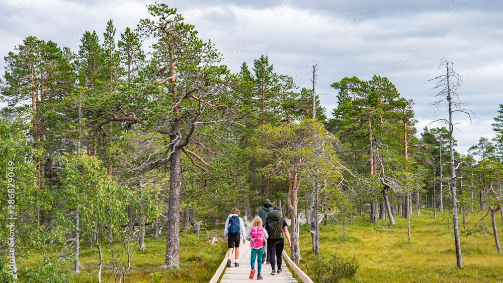 Naklejka premium Hiking route in Fulufjällets National Park