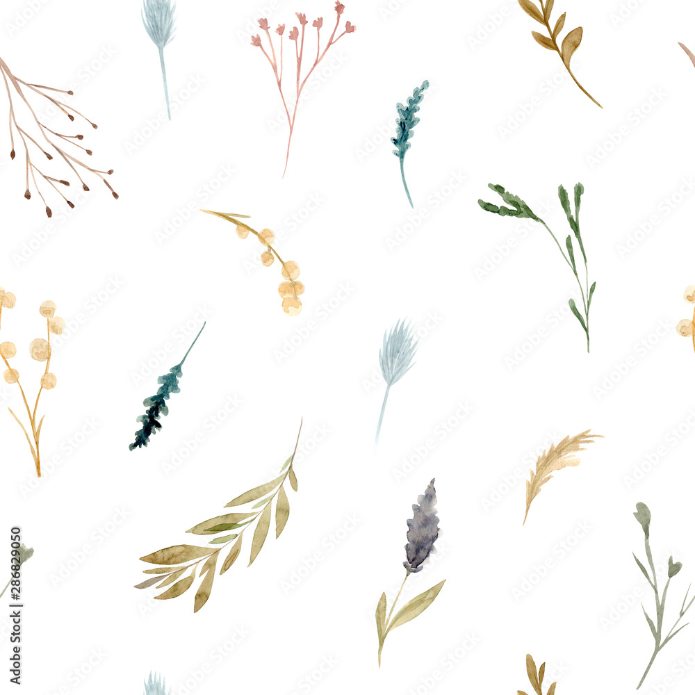 Seamless pattern of watercolor dried flowers, isolated on white background. - obrazy, fototapety, plakaty 