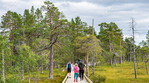 Hiking route in Fulufjällets National Park