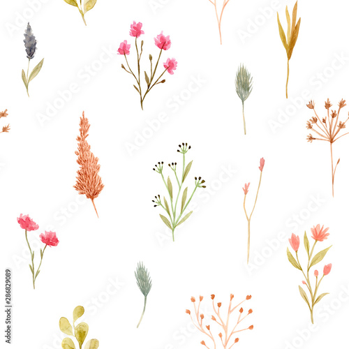 Seamless pattern of watercolor dried flowers, isolated on white background.