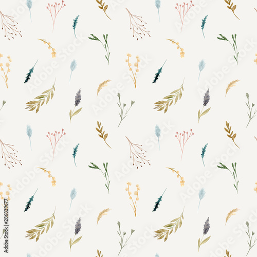 Seamless pattern of watercolor dried flowers, isolated on white background. © Anastasia