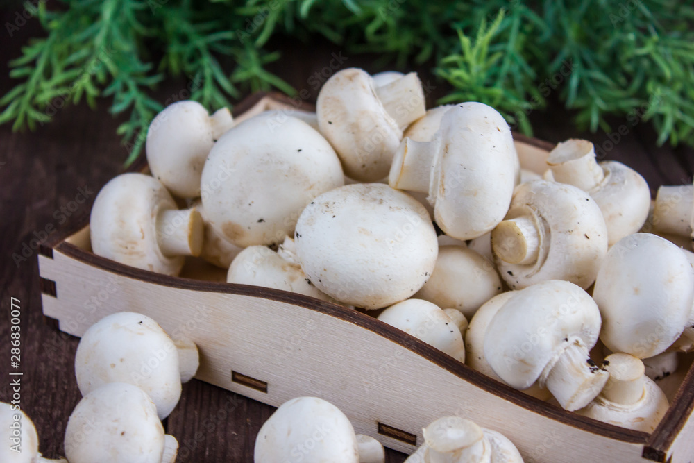 Champignon mushrooms in a wooden tray on a dark background with a sprig of greenery Champignon mushrooms in a wooden tray on a dark background with a sprig of greenery
