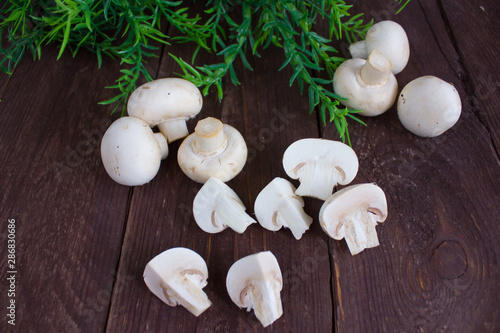 Champignon mushrooms on a dark background