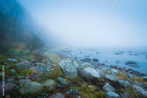 Nebel an der Küste am Kap Arkona auf Insel Rügen im Herbst