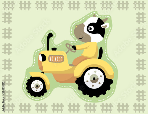 cow drive tractor on fence frame, vector cartoon illustration