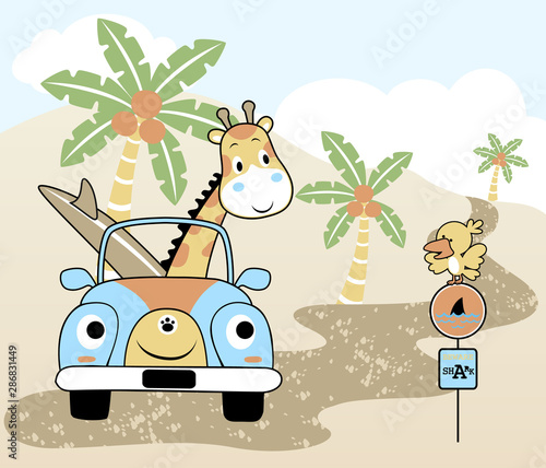 vector cartoon of giraffe with surfboard on car, holiday time in the beach