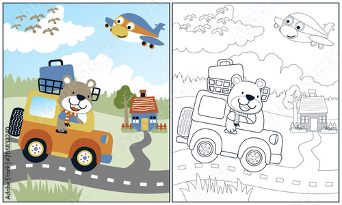 bear driving car at holiday time, vector cartoon illustration, coloring book or page
