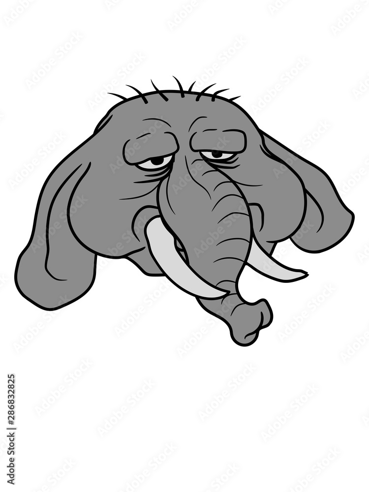 kopf gesicht elefant dick fett groß diät schwer riesig dickhäuter comic cartoon lustig cool clipart übergewicht kopf gesicht elefant dick fett groß diät schwer riesig dickhäuter comic cartoon lustig cool clipart übergewicht
