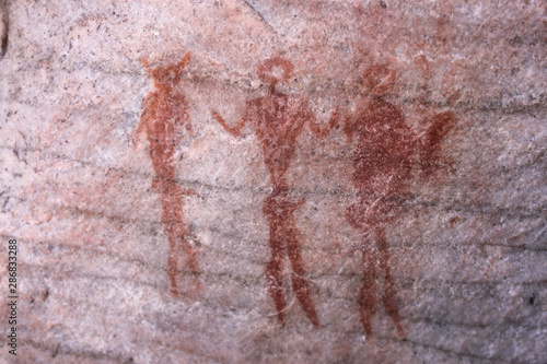 Ancient Khoisan bushman drawings on rock in a cave in the Cederberg mountains. photo