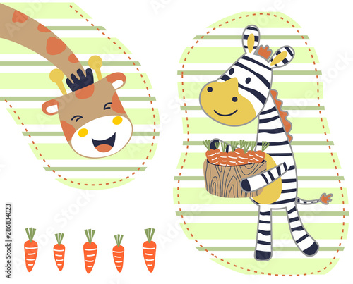 funny animals  zebra carrying lots of carrot for giraffe  vector cartoon illustration