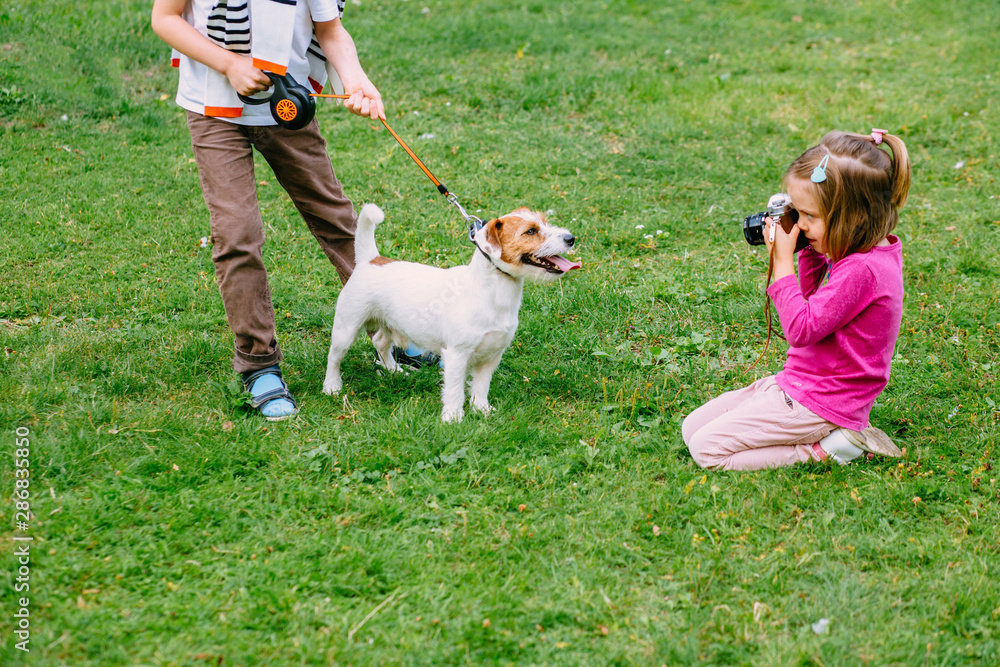 Fototapeta Little girl taking picture using vintage film camera. Cute little kid photographing her older brother with dog Jack Russell terrier sits on grass outdoor.