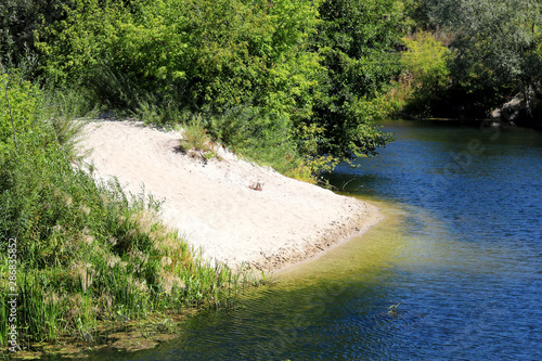 Beautiful sandy beach at bend of clear river among green trees and other green plants in summer in clear weather