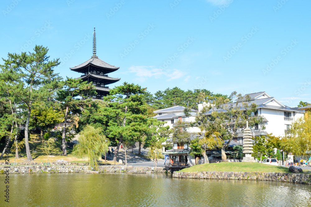 Fototapeta premium 興福寺