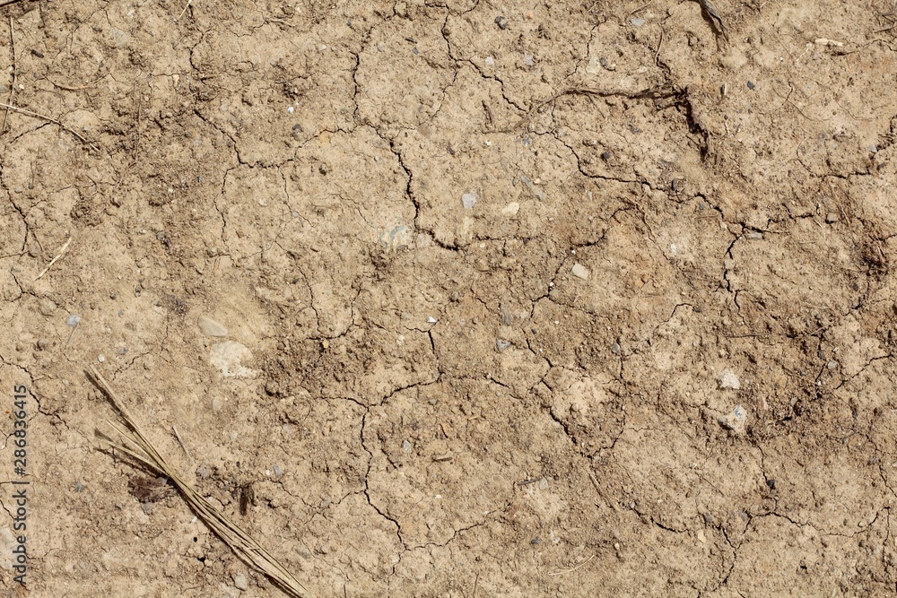 A close view on the dry drought dirt texture. A close view on the dry drought dirt texture.