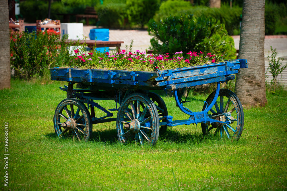 wild flowers in old horse carriage