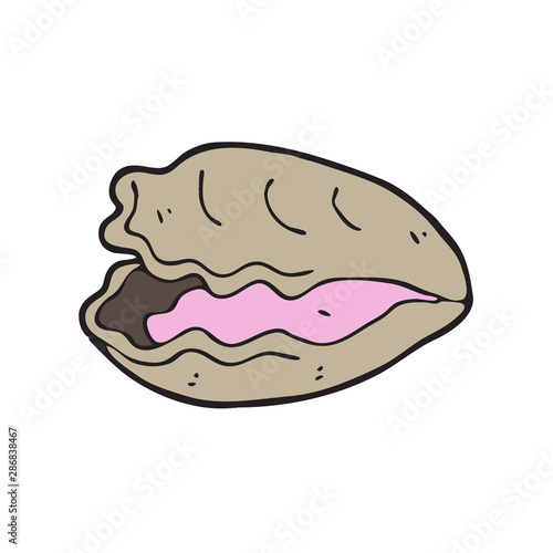 digitally drawn illustration oyster design. hand drawing style