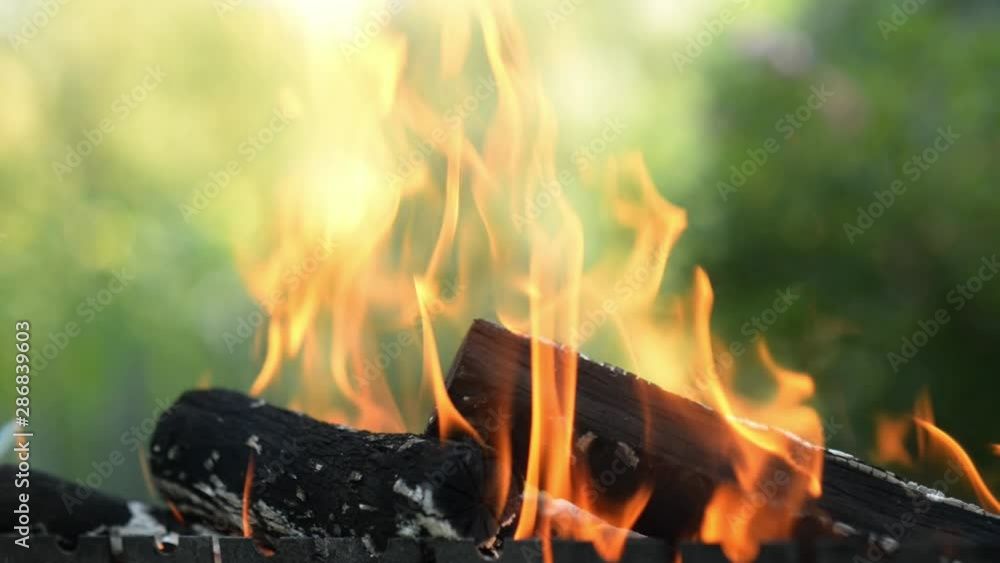Close up of bbq fireplace outdoors. Camping travel in summer or fall. Fire flames on ash wood Close up of bbq fireplace outdoors. Camping travel in summer or fall. Fire flames on ash wood
