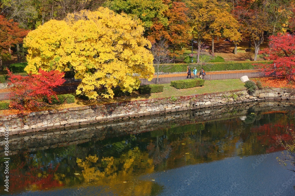 Obraz premium Japan autumn