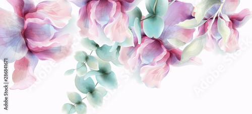 Transparent Flowers Vector watercolor. Provence rustic poster. Wedding card, birthday ceremony event decors