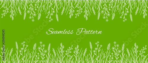 seamless pattern with wild herbs leaves and flowers