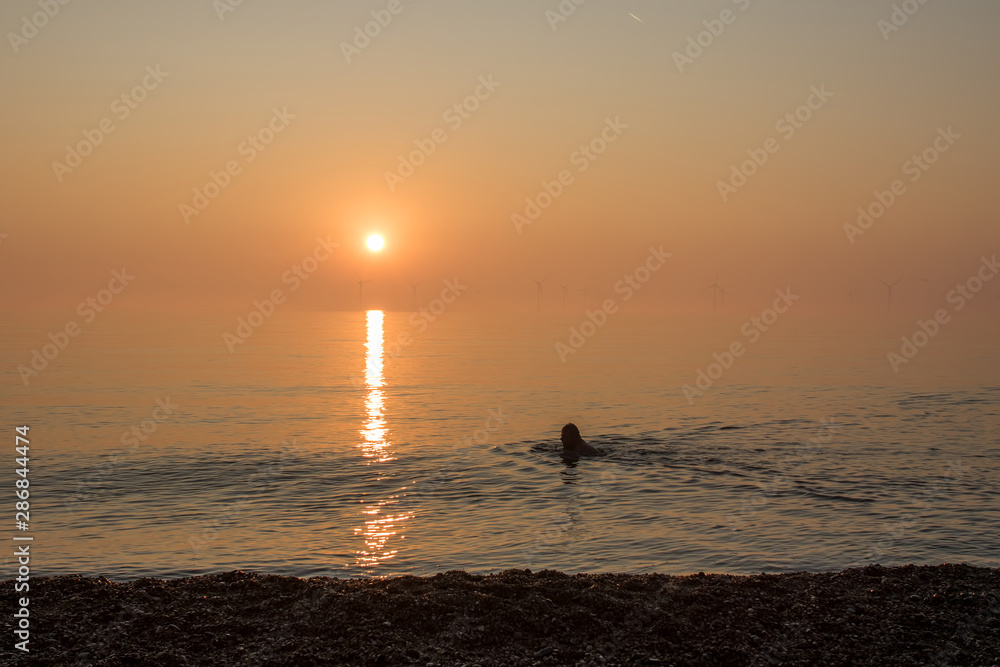 Alternative energy. Healthy lifestyle. Lone sea swimmer at beautiful sunrise by distant wind turbines