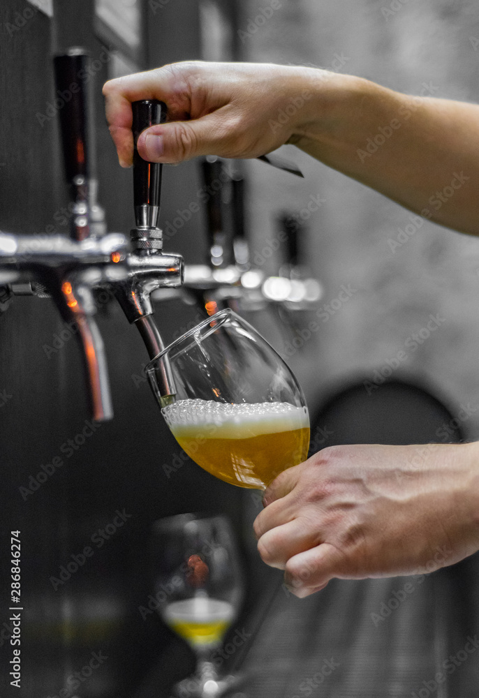 bartender hand at beer tap pouring a draught beer in glass serving in a restaurant or pub