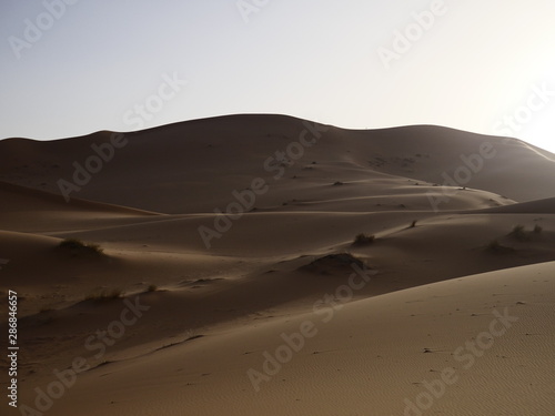 Wüste, Sand, Düne, Sonne, einsam, Dämmerung, Urlaub