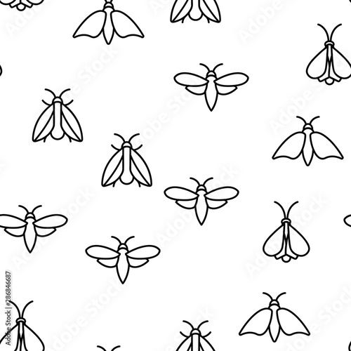 Moth, Insects Entomologist Seamless Pattern Vector Thin Line Illustration