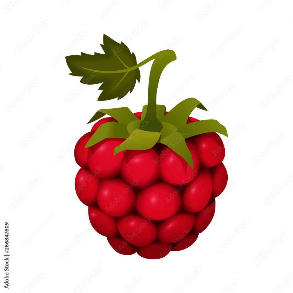 Cartoon raspberry Stock Vector | Adobe Stock Cartoon raspberry Stock Vector | Adobe Stock