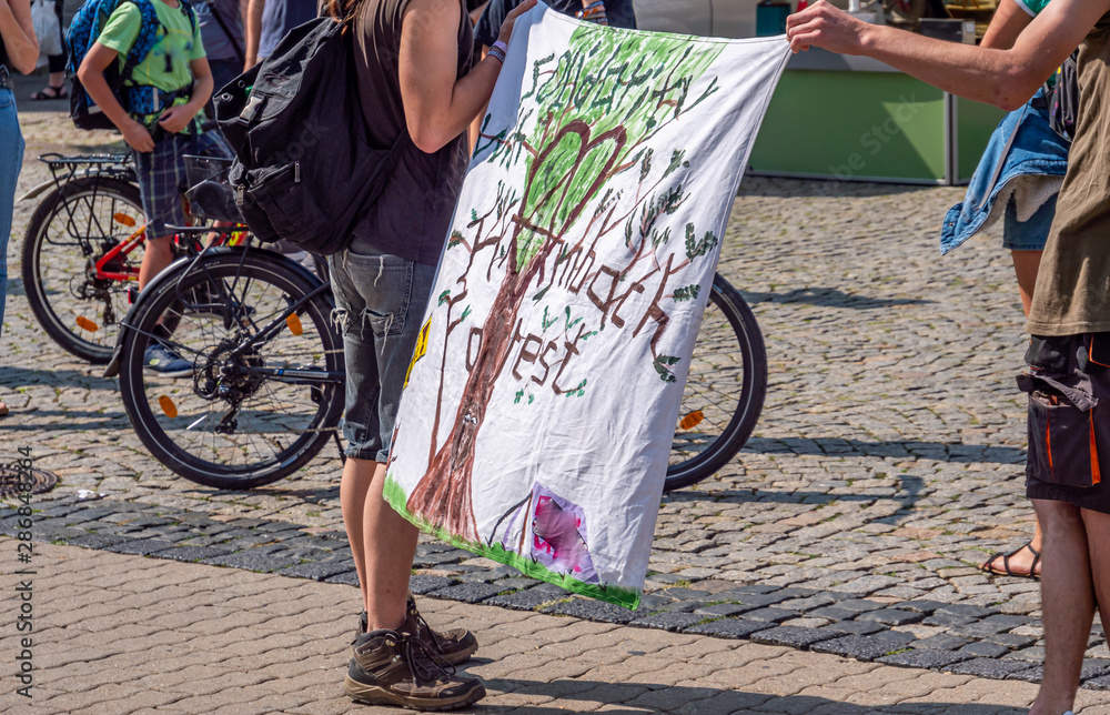 fridays for future  Demonstration in Deutschland - obrazy, fototapety, plakaty 