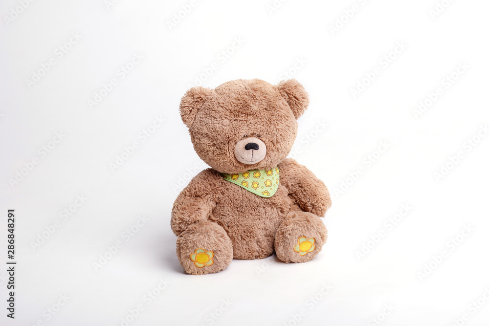 Obraz premium toy cute soft brown Teddy bear isolated on white background