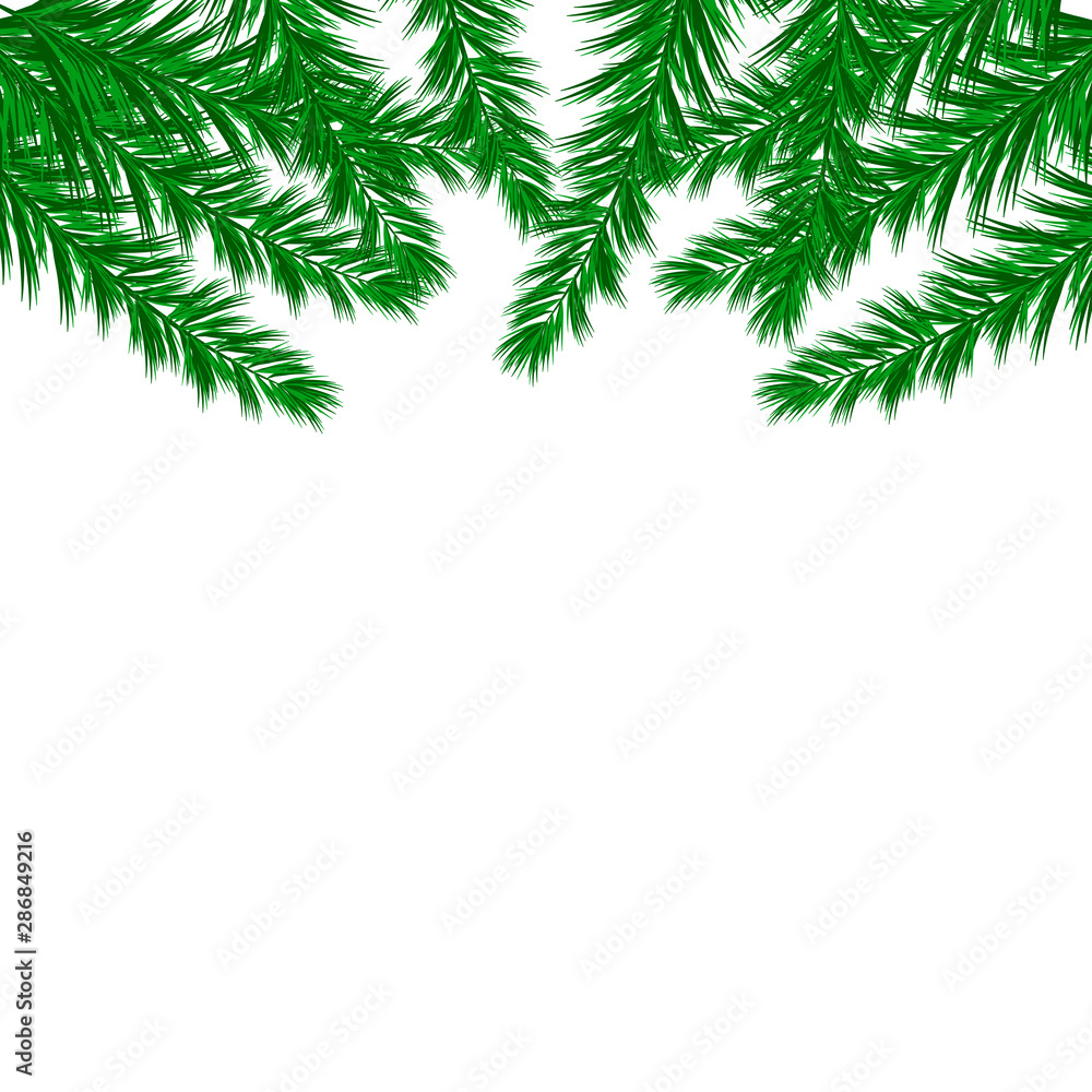 Banner with vector christmas tree branches and space for text. Realistic fir-tree border, frame isolated on white. Great for christmas cards, banners, flyers, party posters, headers