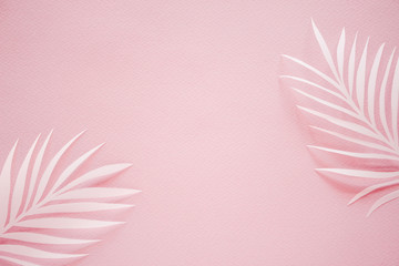 Tropical palm leaf on pink background. Flat lay, top view