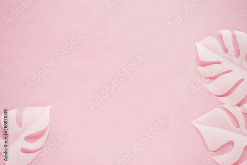 Tropical palm leaf on pink background. Flat lay, top view