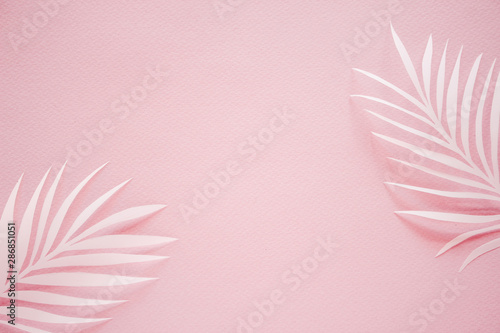 Tropical palm leaf on pink background. Flat lay, top view