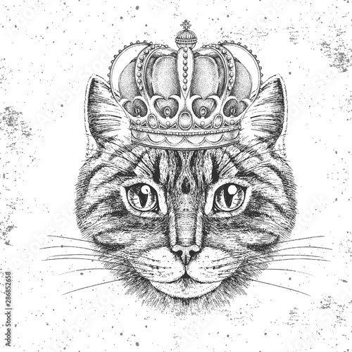 Hipster animal cat in crown. Hand drawing Muzzle of animal cat
