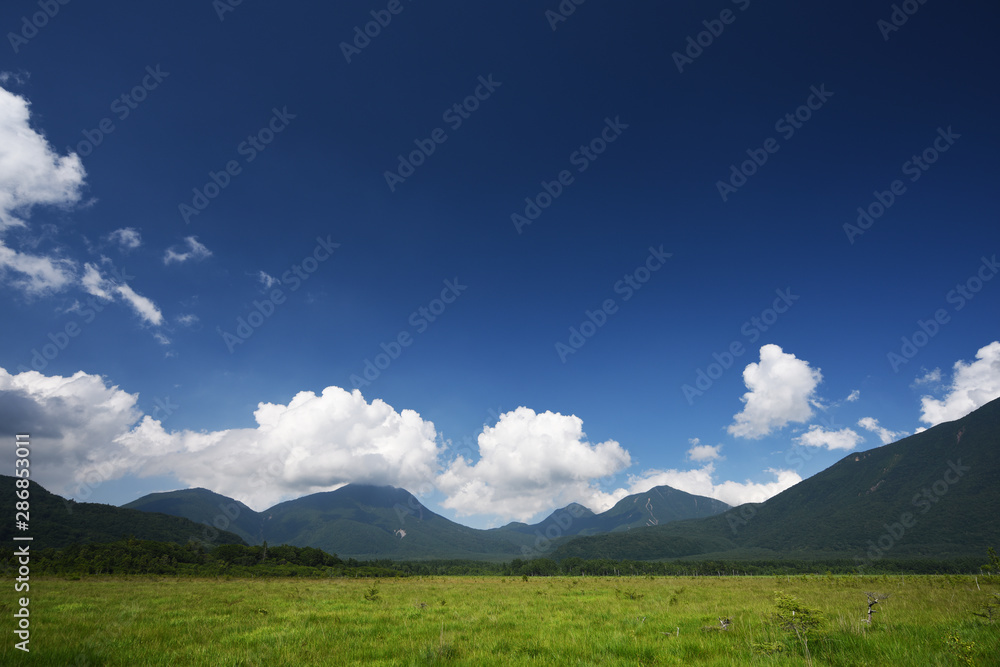 素晴らしい青空と白い雲の草原