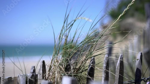 Holidays at the Ocean beach - wooden fence and wild plants in the wind. Cinematic slow motion shot - holidays