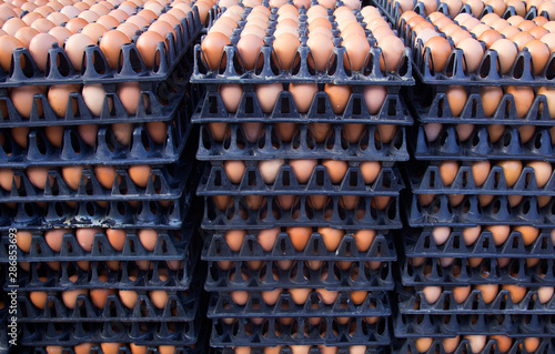 Egg, Chicken Egg in the paper container, Carton of fresh chicken eggs