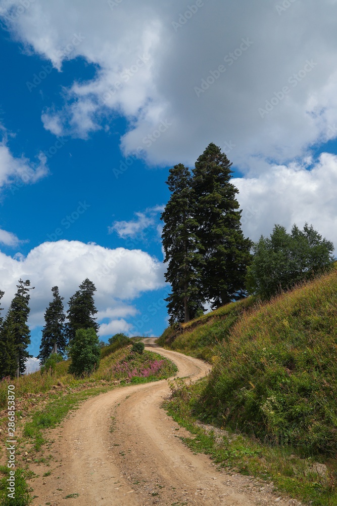 Obraz premium village houses in the forest .artvin turkey